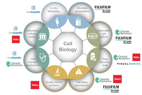 富士膠片 光影之外的科研創(chuàng)新先鋒